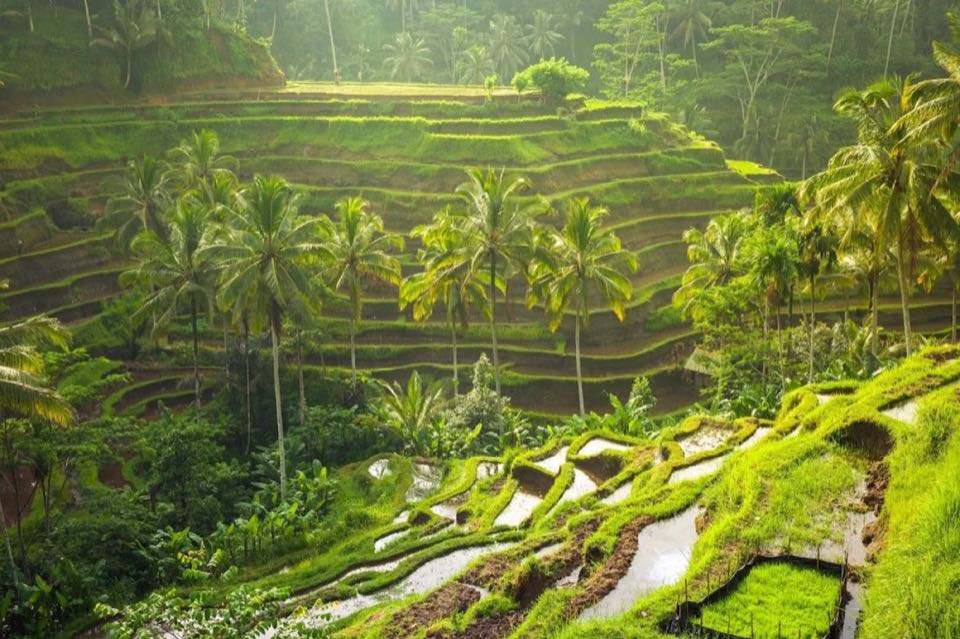 Bali 06Nights 07Days