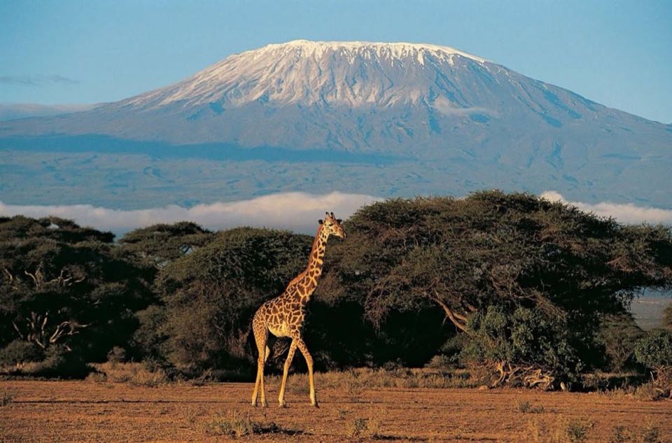 Kenya 07Nights 08Days