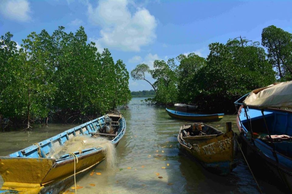 Pondicherry & Pichavaram 02Nights 03Days