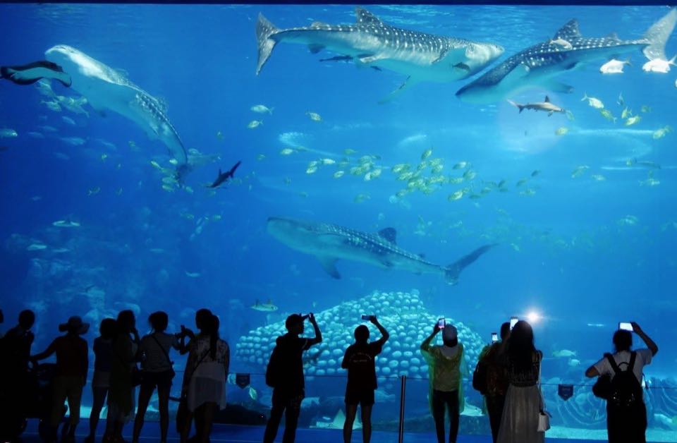 Rameswaram Special 05Nights 06Days