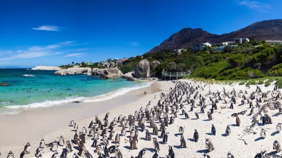 South Africa 10Nights 11Days
