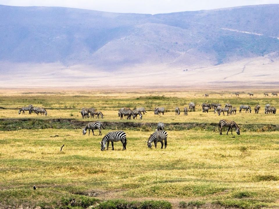 Tanzania & Zanzibar 08Nights 09Days