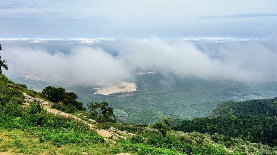 Yercaud 02Nights 03Days